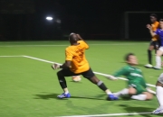 LOL决赛-精彩瞬间！足球赛场上的绝佳表现的简单介绍