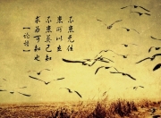 LOL赛事-2026世界杯B组，巴西与丹麦的巅峰对决，梅西火热状态点燃绿茵奇迹