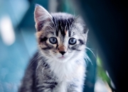 英雄联盟总决赛赛程-绿茵心跳仪，突尼斯用精密传控调慢安哥拉，哈弗茨化身密码破译者