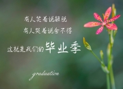 英雄联盟总决赛-宿敌的火种，一场定义了荣耀的传奇鏖战