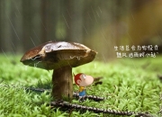 英雄联盟总决赛赛程-当伊斯坦布尔星光黯淡时，乌鲁木齐正上演一场欧冠式的翻盘奇迹