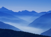 英雄联盟总决赛时间-约基奇节奏大师，奇才队凭借完全掌控力克广东队