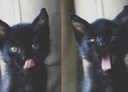 英雄联盟总决赛2025-拉亚一锤定音，葡萄牙绝杀摩洛哥，英雄诞生