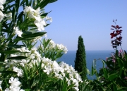 LOL赛事-北欧利刃与沙漠风暴的碰撞，巴尔韦德以一己之力改写胜负天平