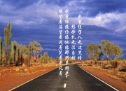 英雄联盟总决赛时间-末代中锋的逆袭，当武切维奇在圣安东尼奥奏响进攻狂想曲