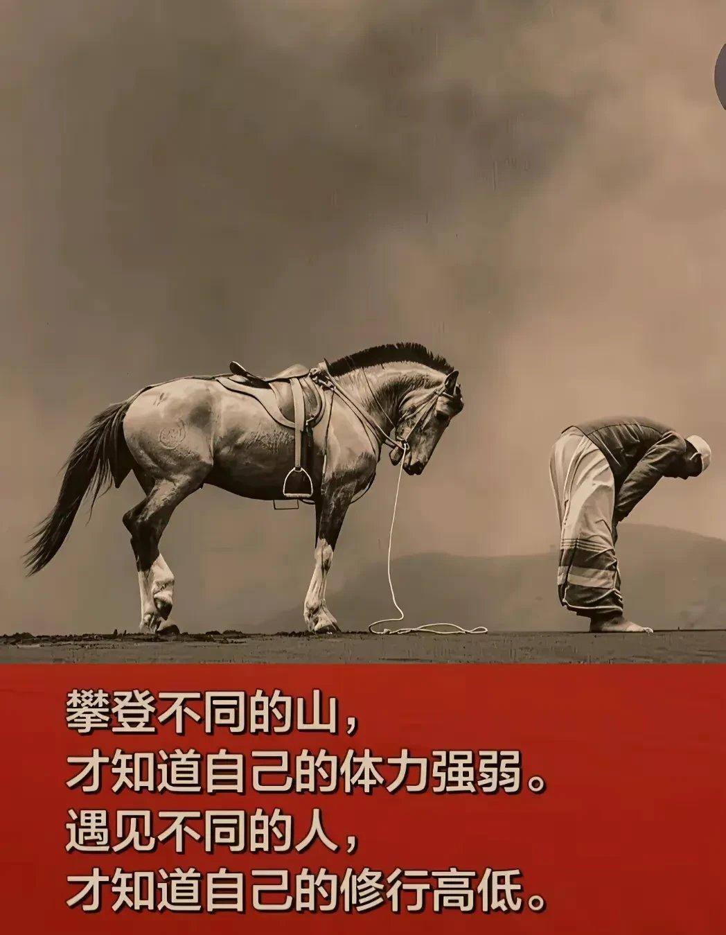 公牛惊险取胜老鹰，追平东部前列的简单介绍