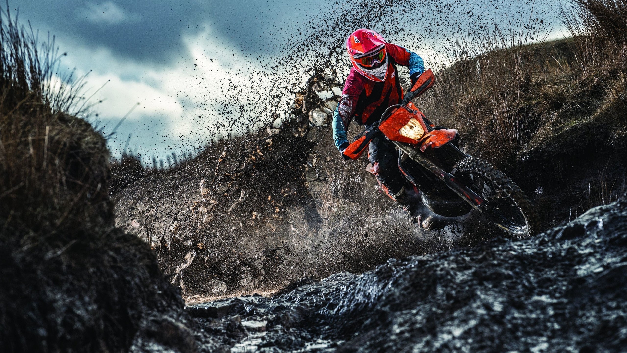 猎鹰折翼,王者归来,辽宁铁血防守与克莱史诗级救赎的篮球启示录