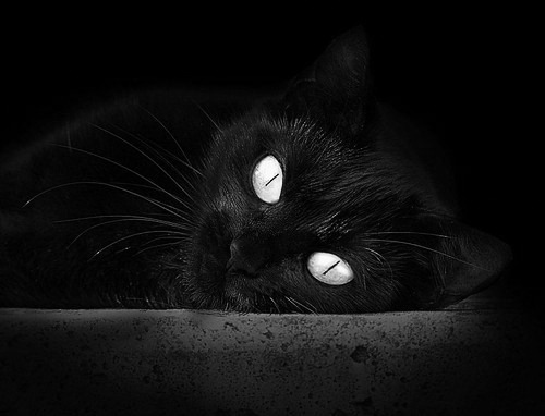 当棋盘震动，勒布朗·詹姆斯与鹈鹕防守的溃败交响曲