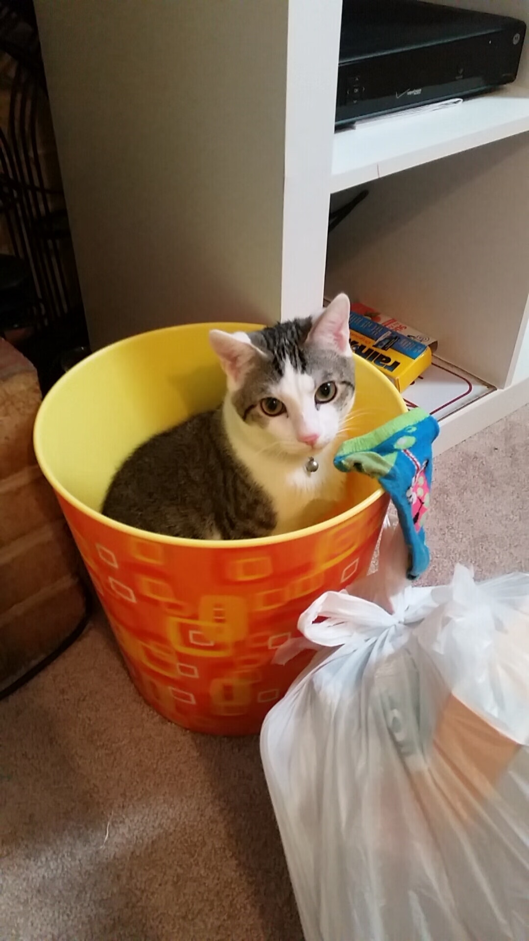 东契奇，独行的神与偏执的剧本—当一人之力撕碎所有预测