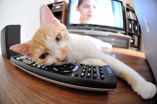 绝境之光，布雷默的钢铁意志，铸就挪威翻盘加纳的唯一路径