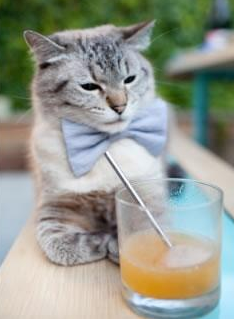 同一天空下,从贝林厄姆到拉齐奥,足球多元宇宙中的唯一性解