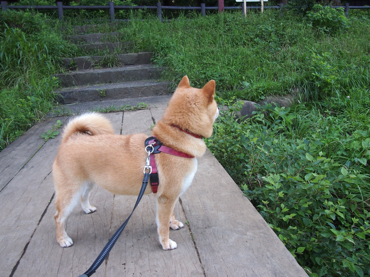 当个人才华遇见集体铁蹄,帕尔默的灵性淹没在摩洛哥的火力狂潮中