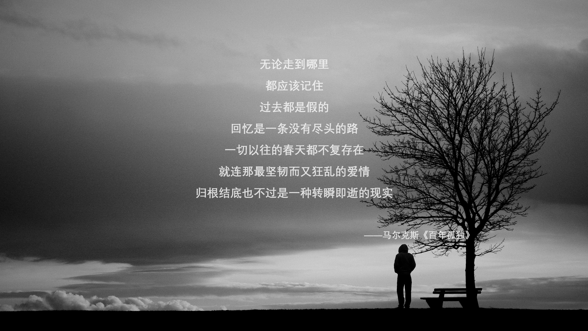 如果苏亚雷斯执教澳大利亚对阵波兰,一场存在于平行时空的教科书对决